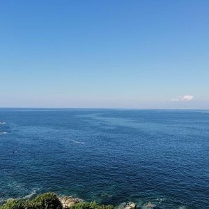 Meet your Posher, Hafez